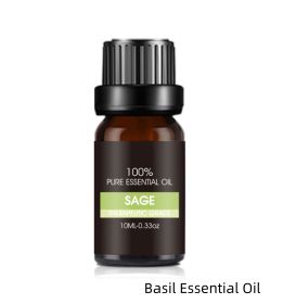 Organic Essential Oils Set Top Sale  Natural Therapeutic Grade Aromatherapy Oil Gift Kit For Diffuser (Option: Basil Essential Oil)